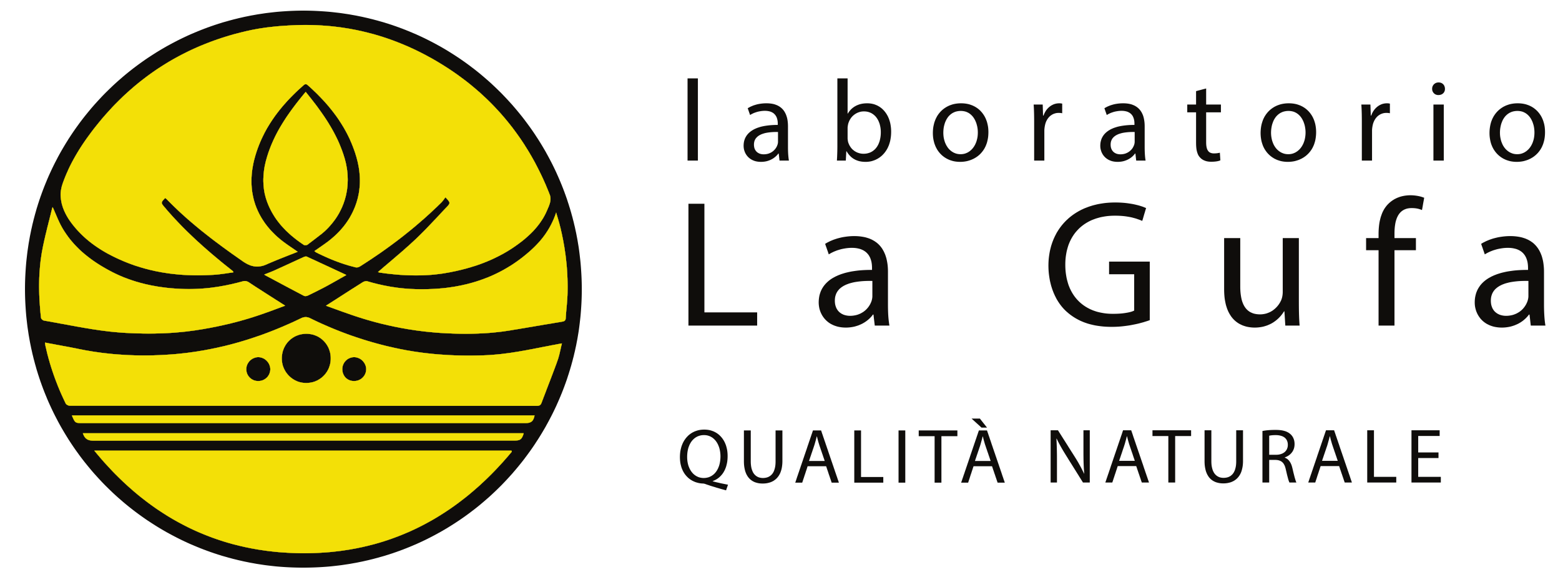 Laboratorio La Gufa